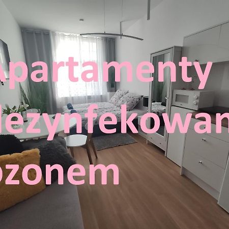 Apartament Elblag Goodenergy - Stare Miasto, Oldtown, Altstadt Екстер'єр фото
